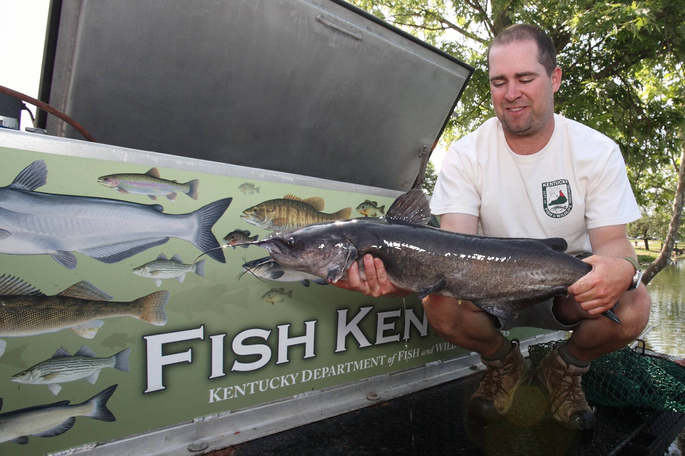 Late spring begins prime time for catfish - Kentucky Department of