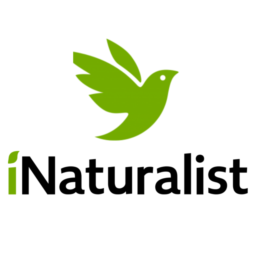 iNaturalist-logo.png