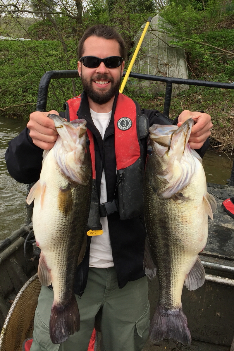 Biologist Adam Marti holds two huge largemouth bass captured on Kentucky’s Lake Beshear