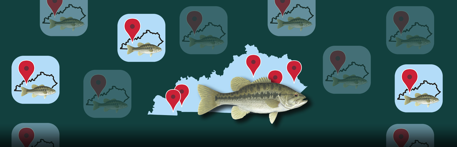 Fishing and Boating App Web Banner