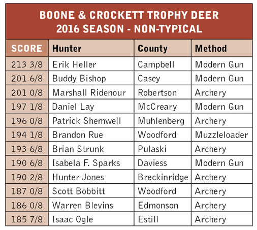 2016 Nontypical Trophy Deer