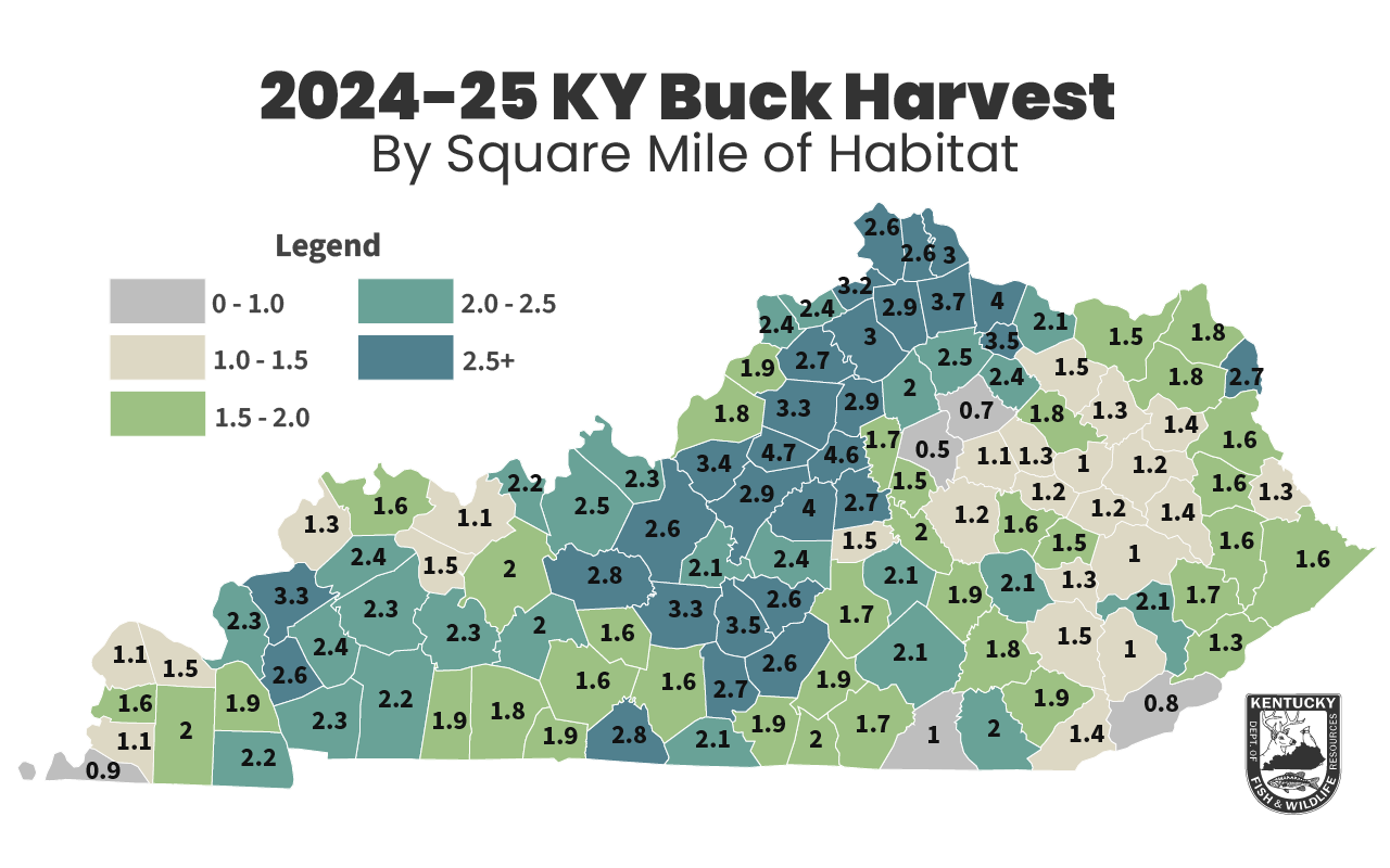 2024-25-Buck-Harvest-by-Square-Mile.png