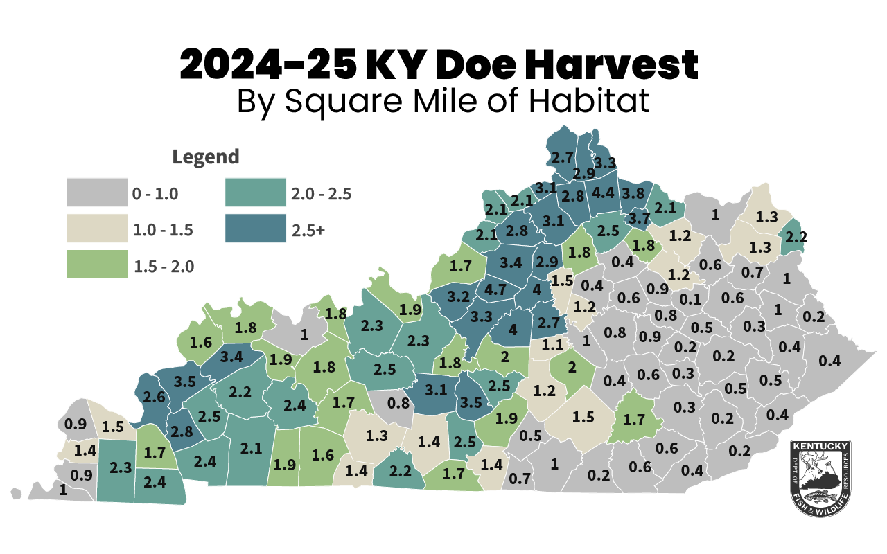 2024-25-Buck-Harvest-by-Square-Mile.png