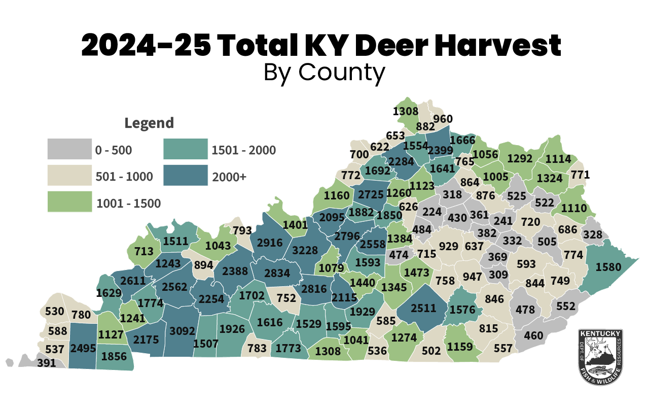 2024-25-Buck-Harvest-by-Square-Mile.png