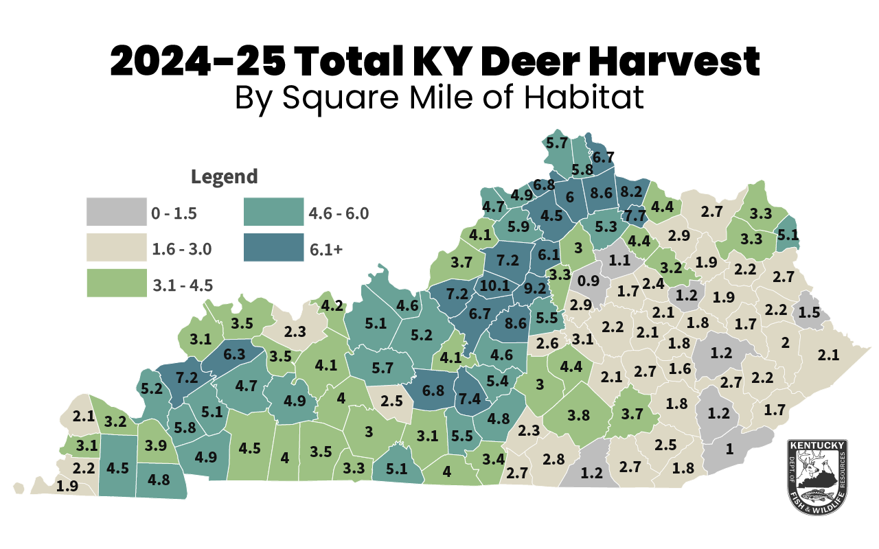 2024-25-Buck-Harvest-by-Square-Mile.png