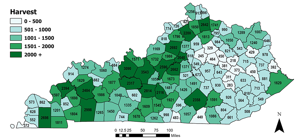 2025-26 Total Harvest by County