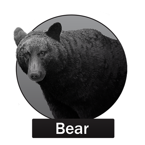 Bear Button