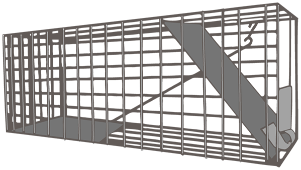 Box trap illustration