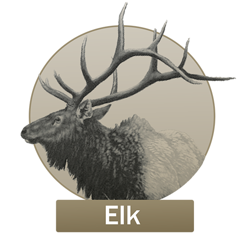 Elk Button