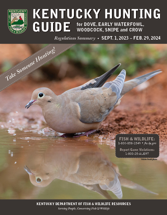 Dove Hunting Guide