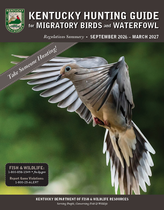 Waterfowl Guide