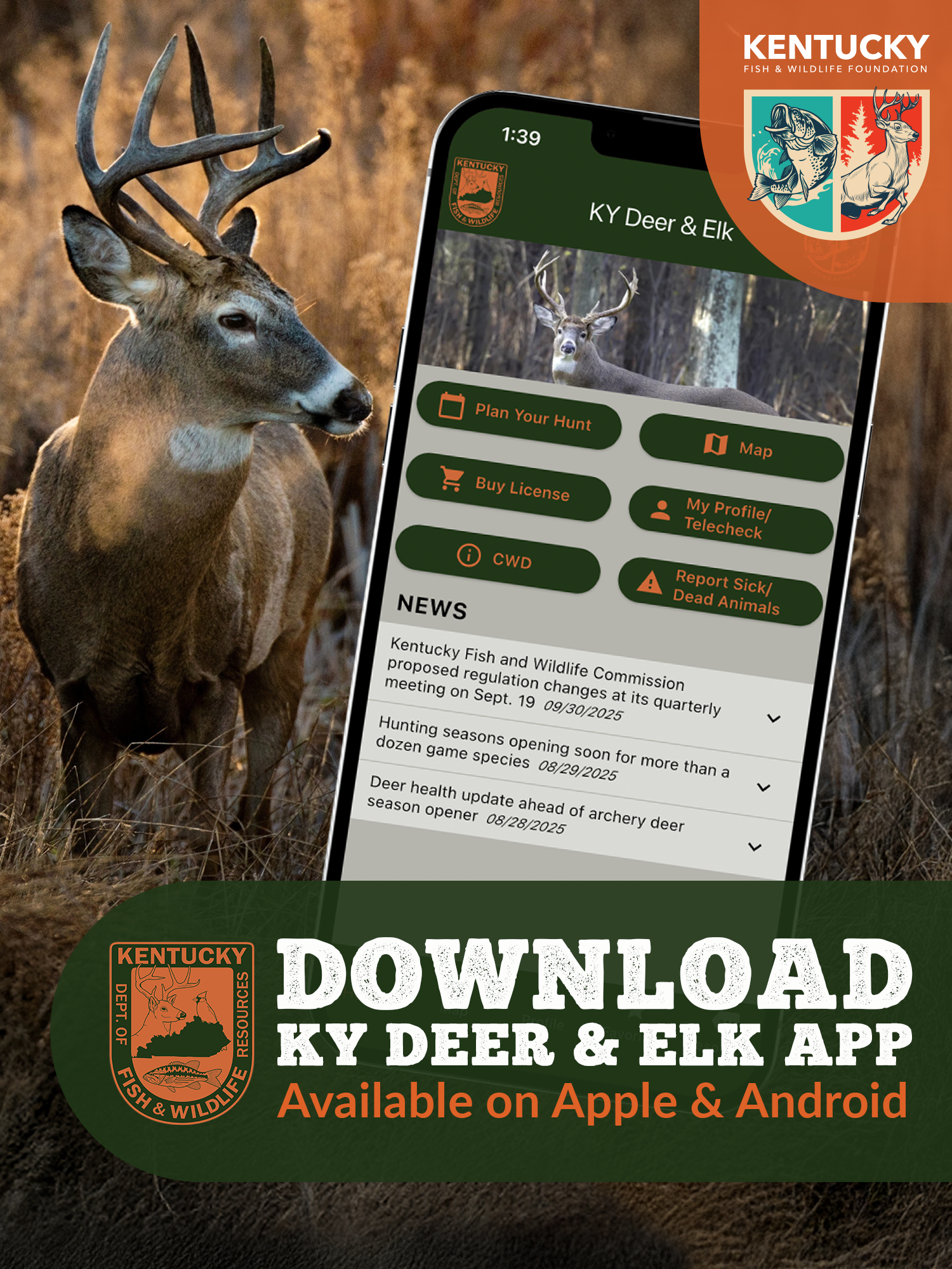 Download Boat Fish App