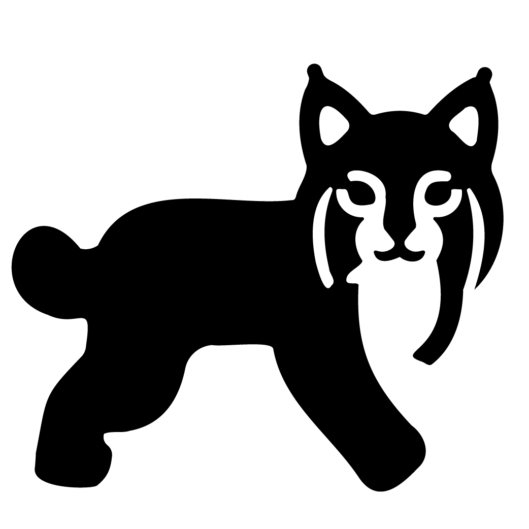 bobcat-icon.png