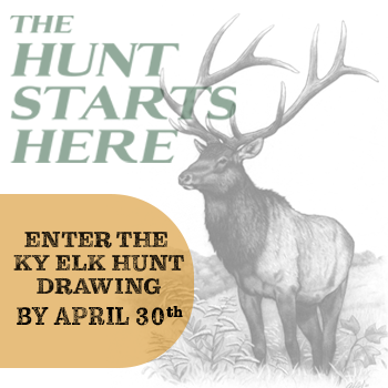 Elk Illustration that reads The Hutn Starts Here Enter the Elk Hunt drawing by April 30th