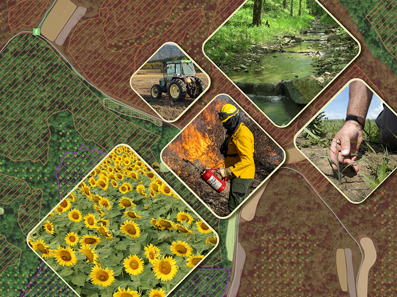 Check out the activity on WMAs via the WMA Explorer maps