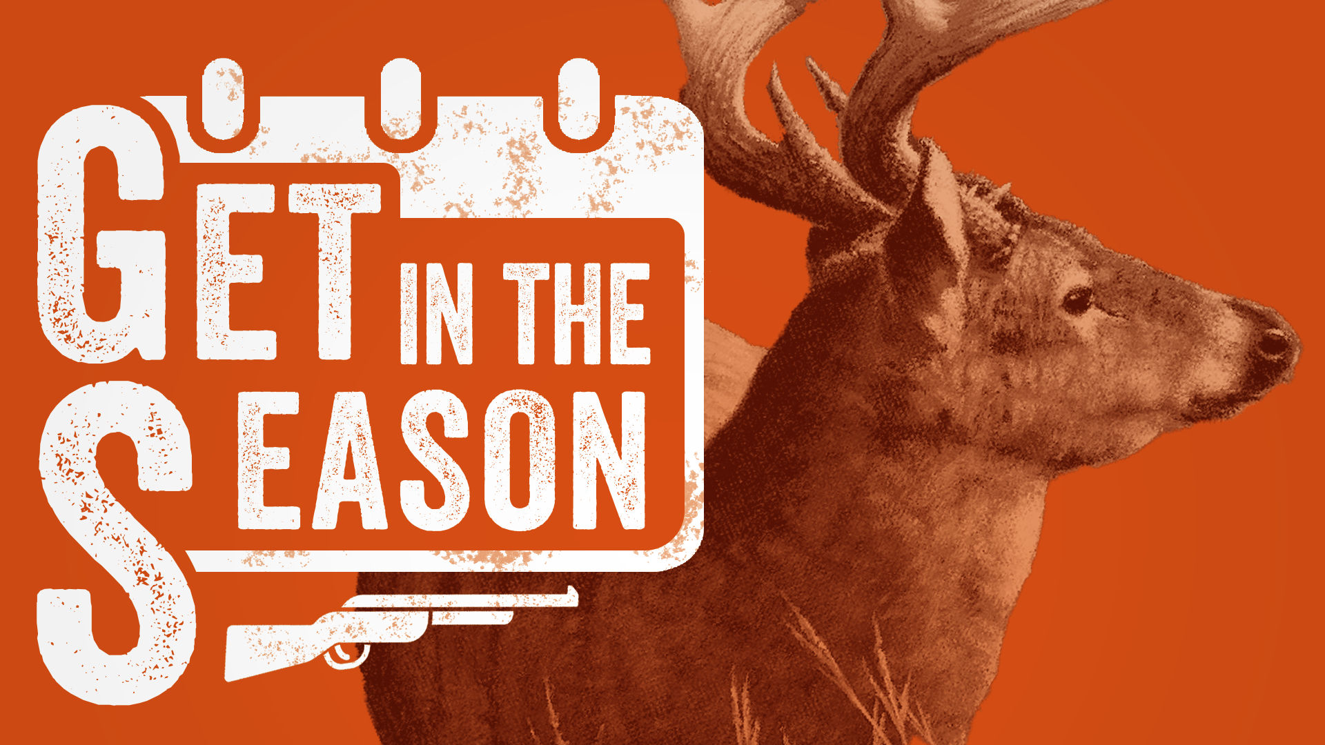 Rick hill illustration of deer on pink