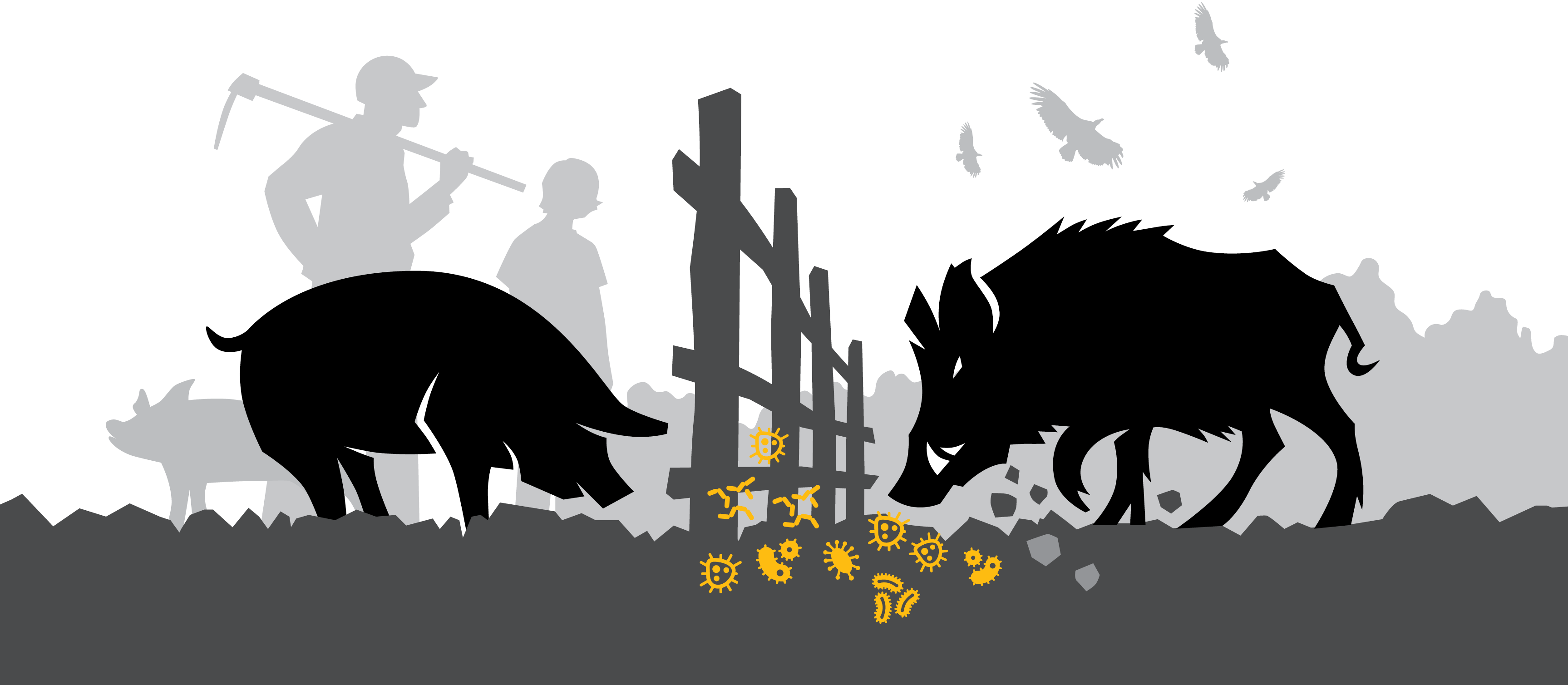 AD-5-Illustration.png