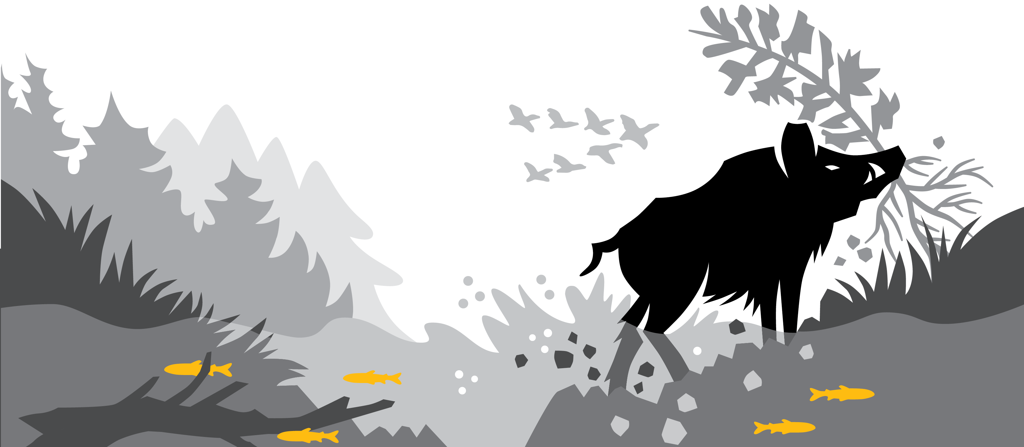 AD-5-Illustration.png