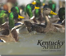 Kentucky Afield Magazine