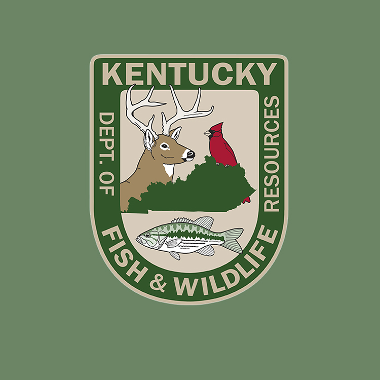 Agency Logo with Green Color Background