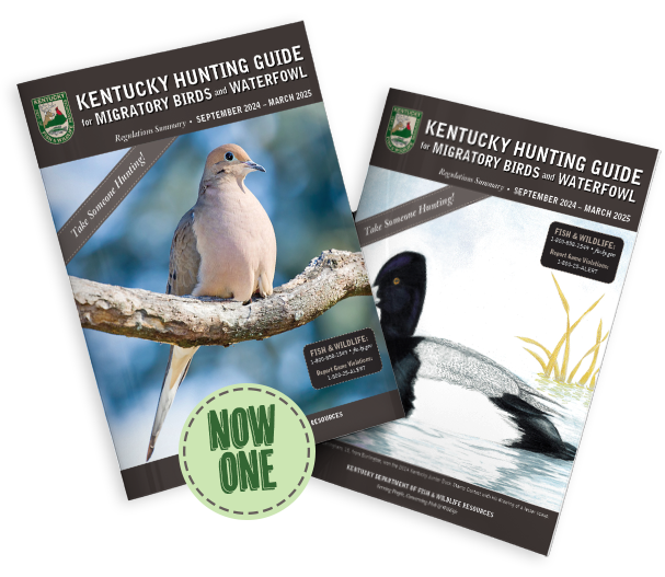 Migratory Birds Waterfowl Guide Cover