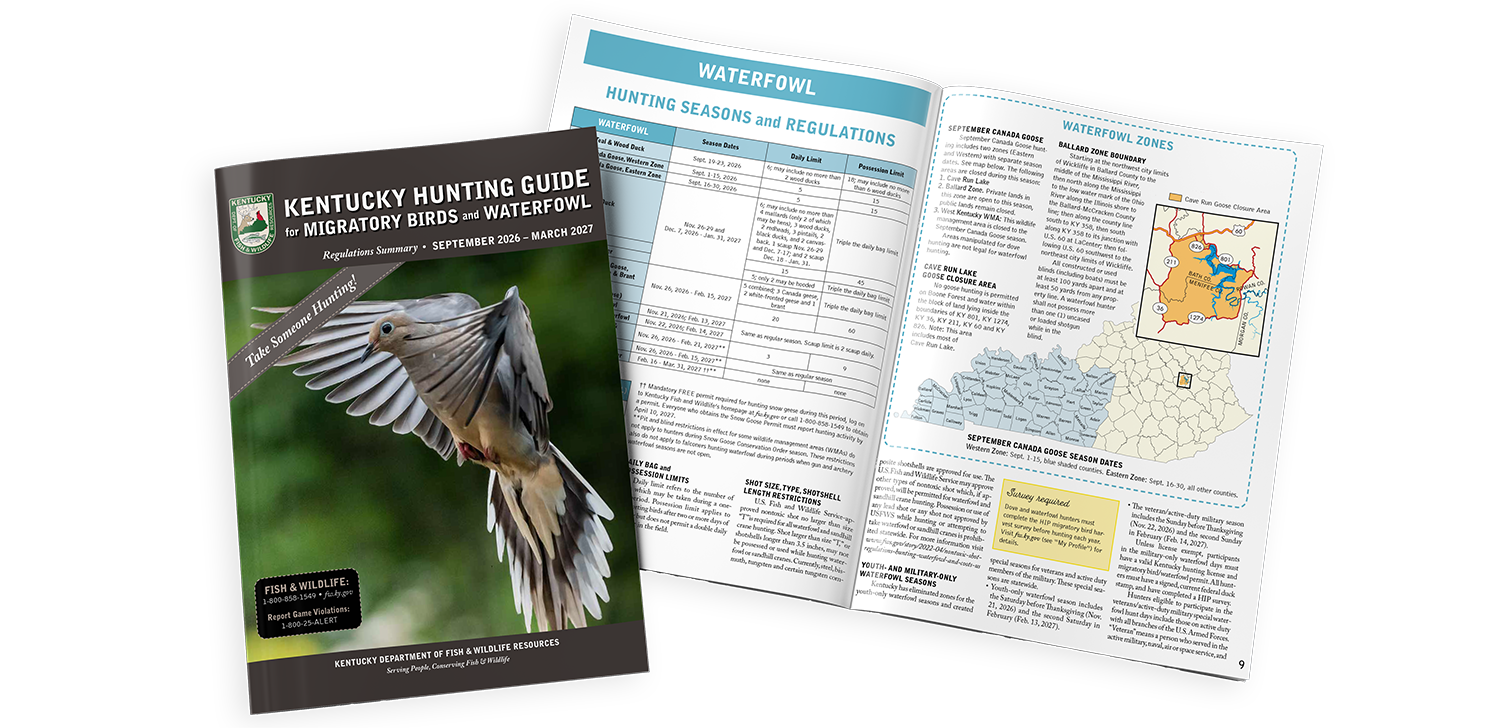 Migratory Birds and Waterfowl Guide cover