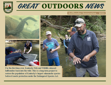 Great Outdoors News promo showing the Hellbender Restoration -2022 that reads for the first time ever Kentucky Fish and Wildlife released hellbenders back into the wild This is a long term project to restore the population of Kentucky's Largest salamander species before it needs protection under the Endangered Species Act