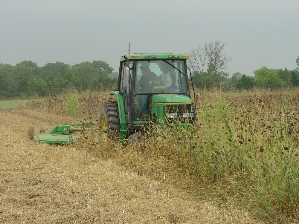Farmer preparing field for dove season