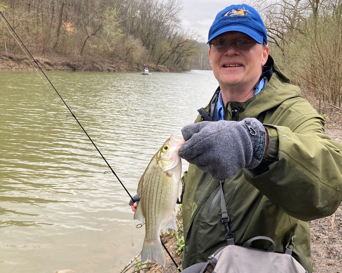 Spring Fishing Frenzy - White bass fishing is an old Kentucky