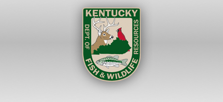 Spring Fishing Frenzy – The white bass runs provide a bonanza of bank  fishing - Kentucky Department of Fish & Wildlife
