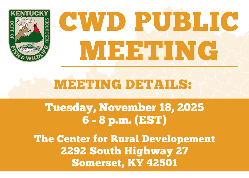 CWD-Meeting-Graphic-Somerset