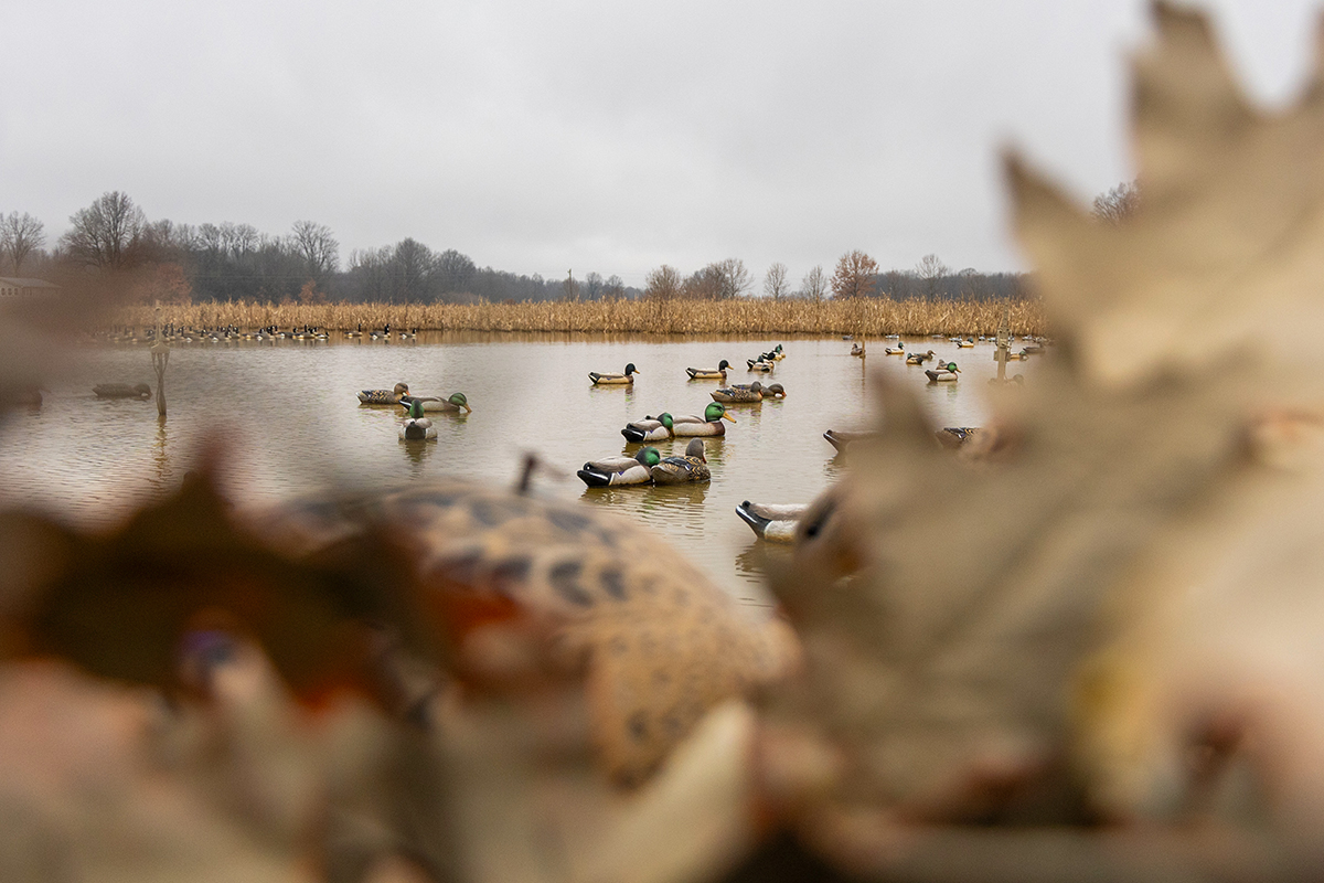 Cr-KDFWR-Waterfowl-blind-RC