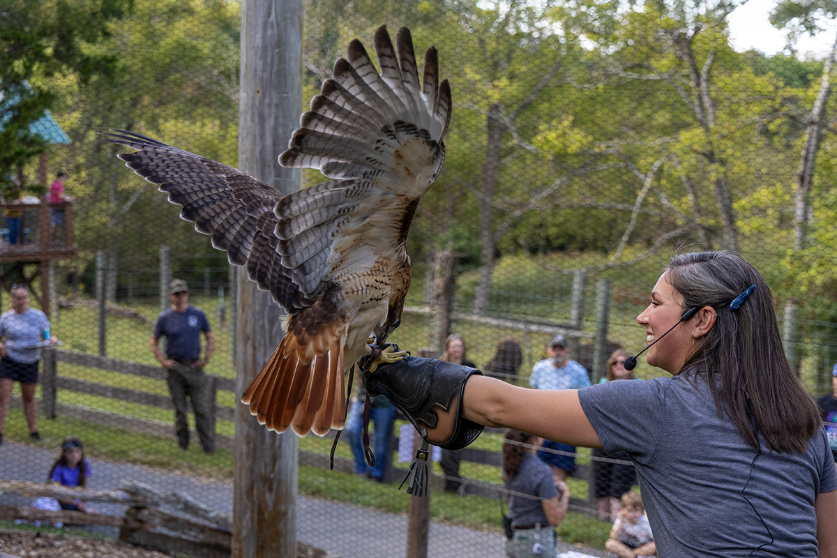 CrKDFWR-Salato-Raptor-Demo-RC