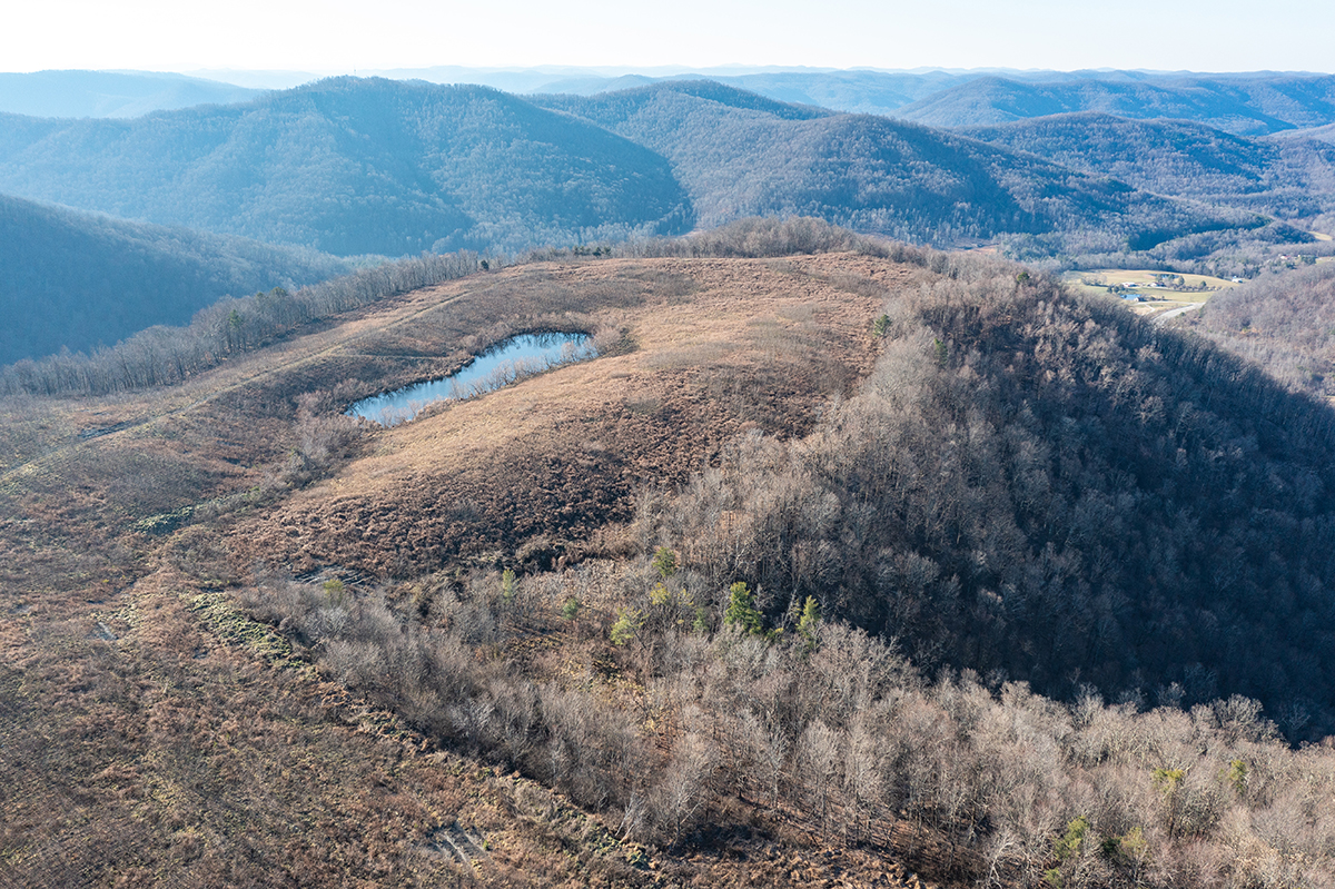 CrUniv-of-Cumberlands-WMA-Aerial