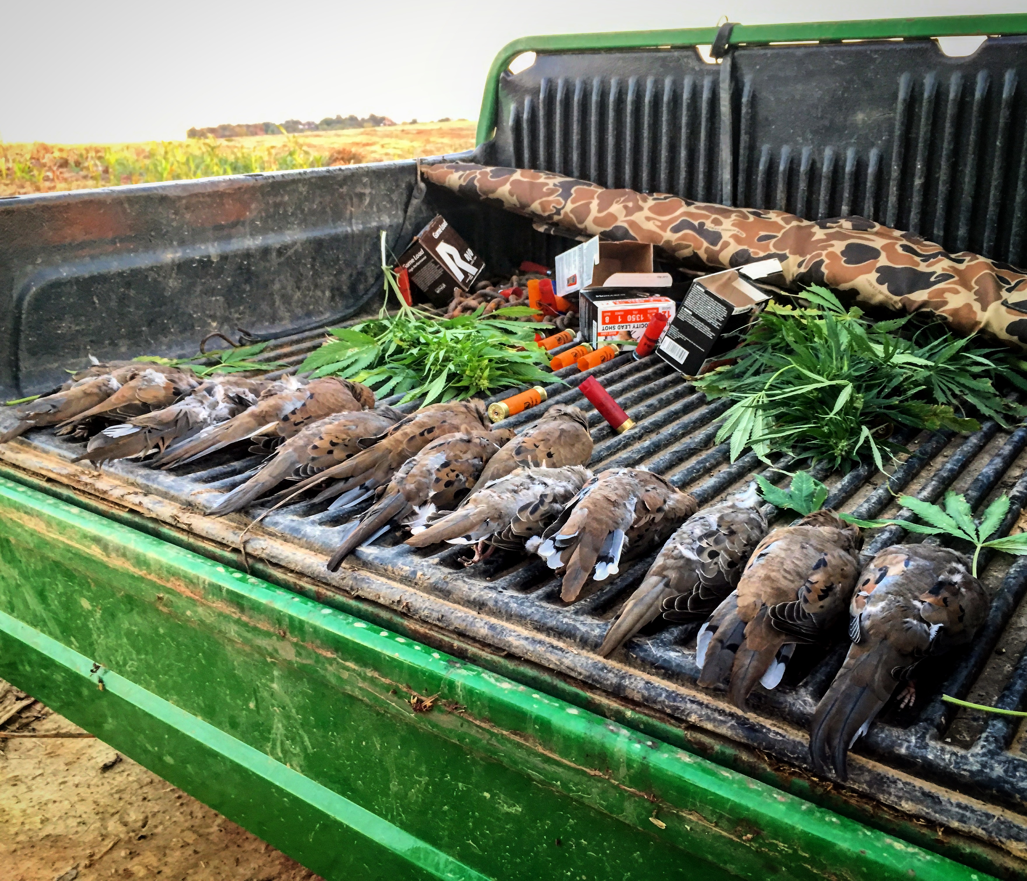 Dove_Hunt_Hemp_Field_By_Chase_Wininger