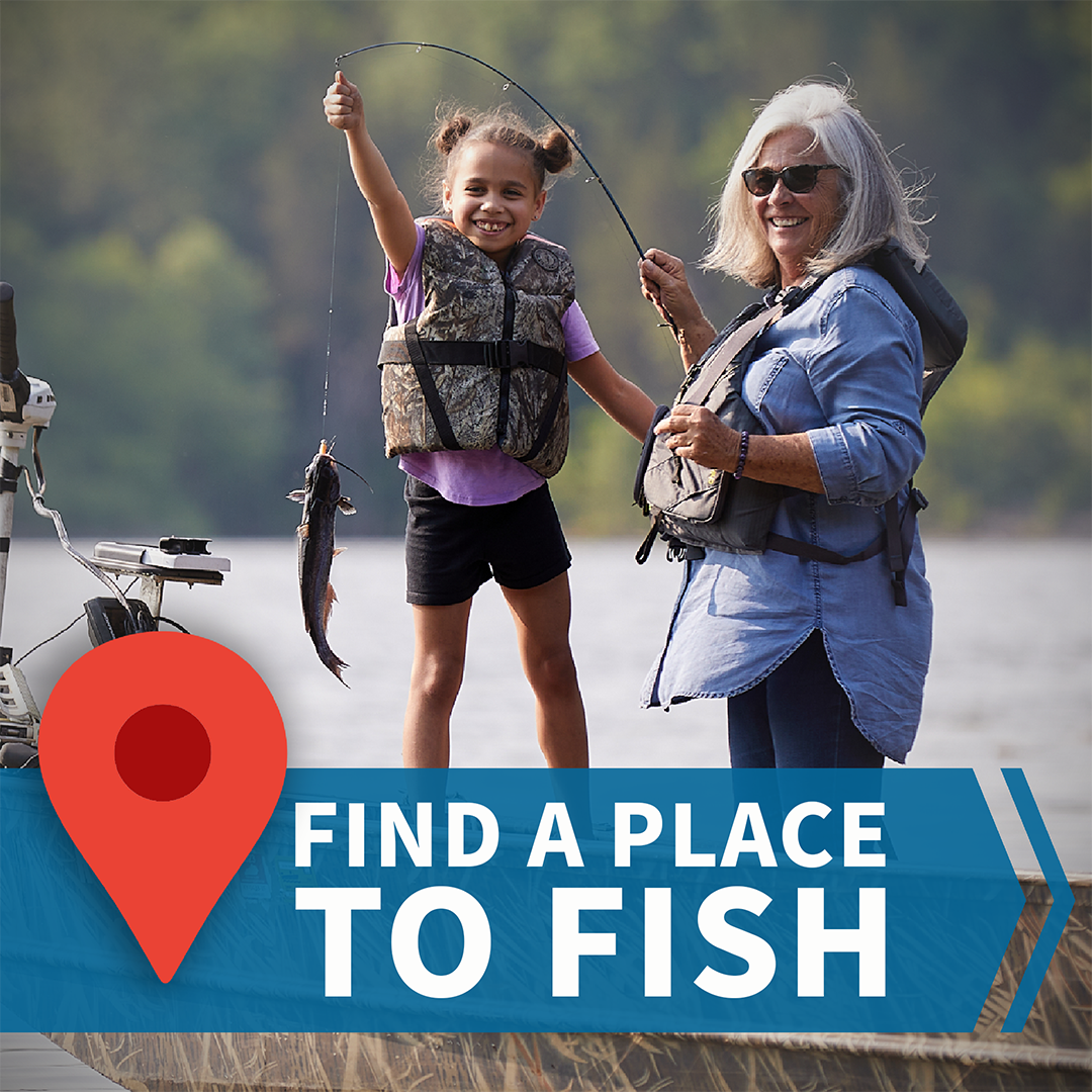 Where to Fish