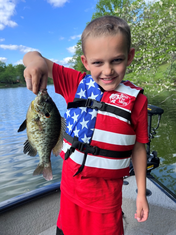 A small boy is holding up a large bluegill
