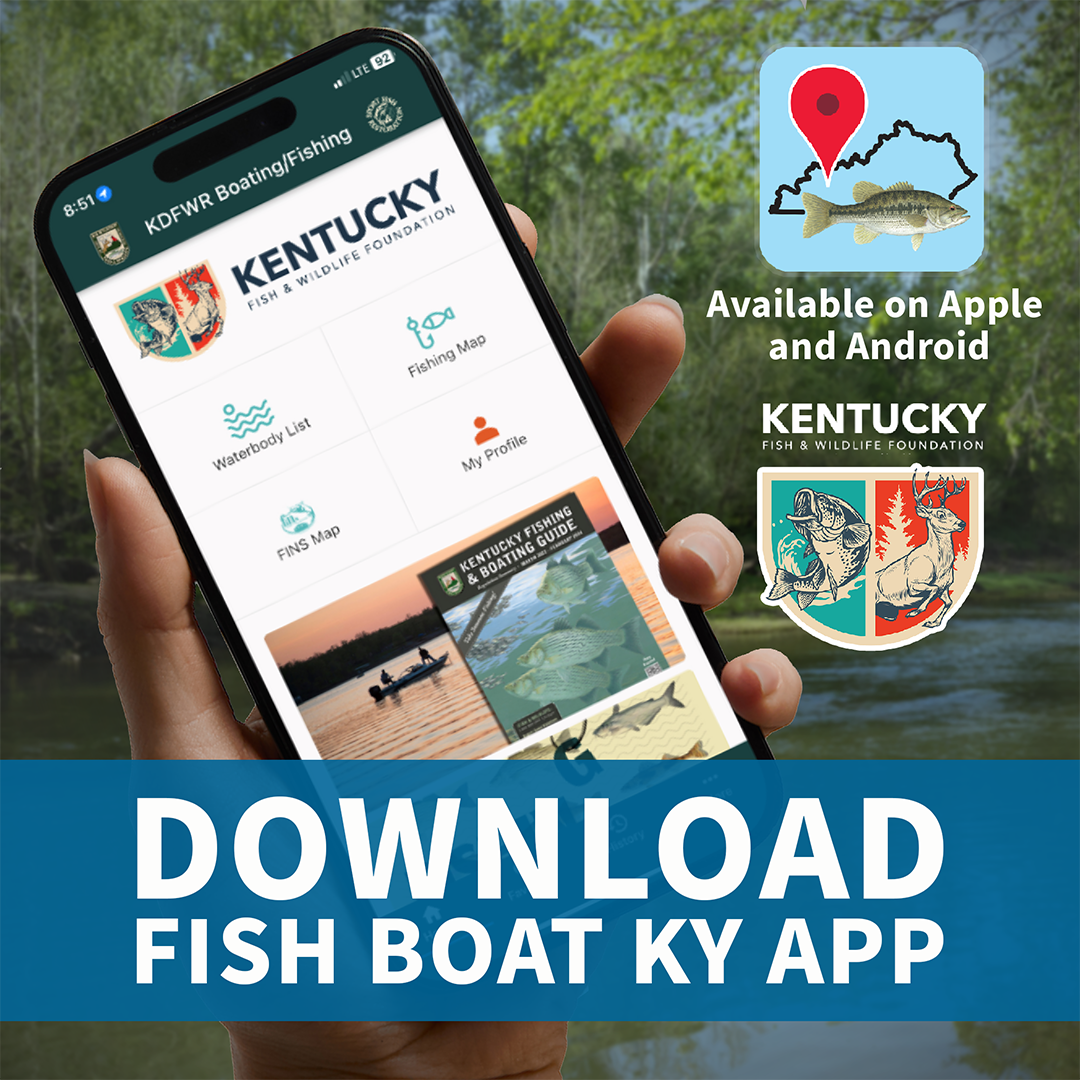 Download Boat Fish App