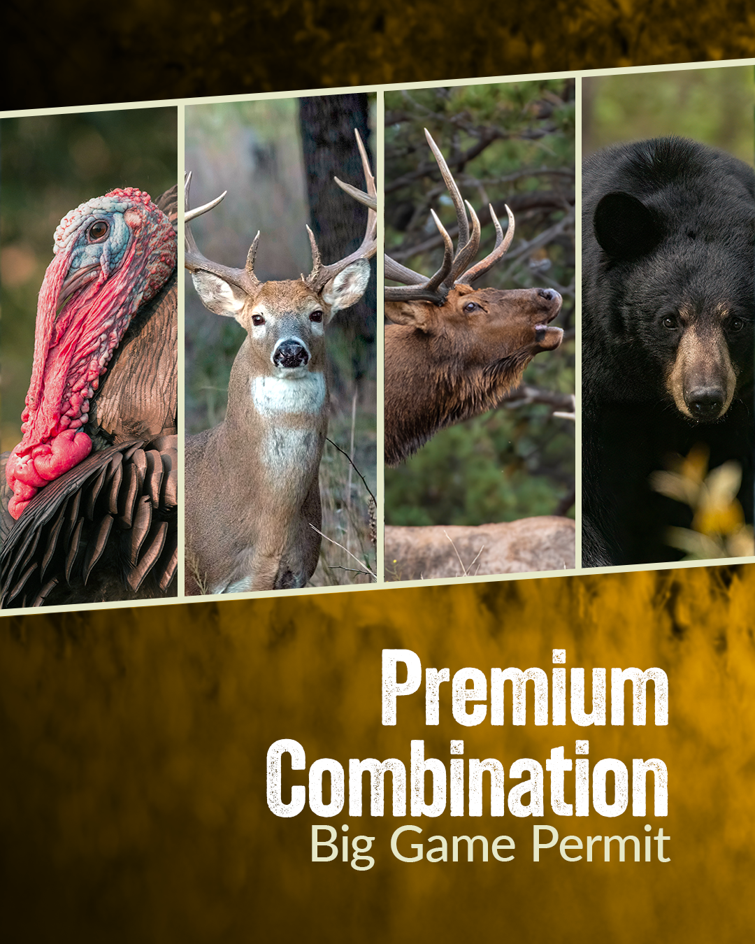 Premium Combination Big Game Permit Graphic