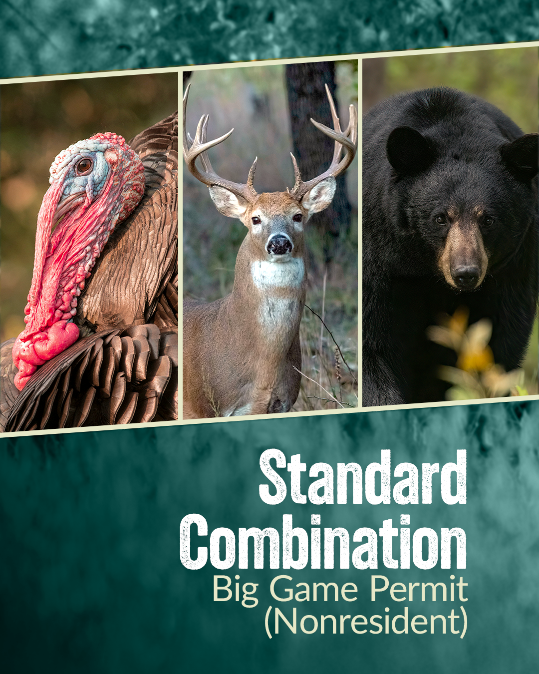 Standard Combination Big Game Permit Nonresident Graphic