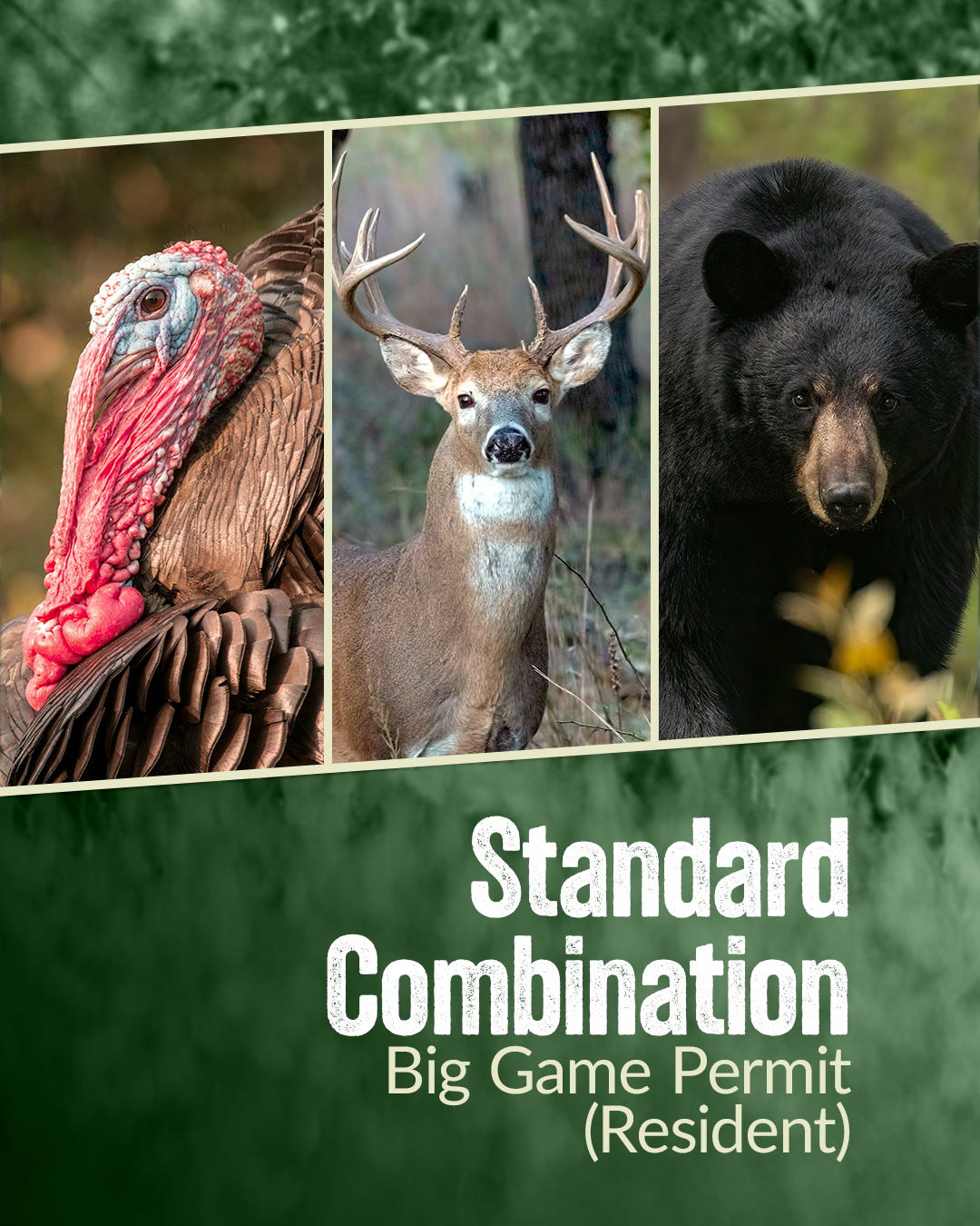 Standard Combination Big Game Permit Resident Graphic