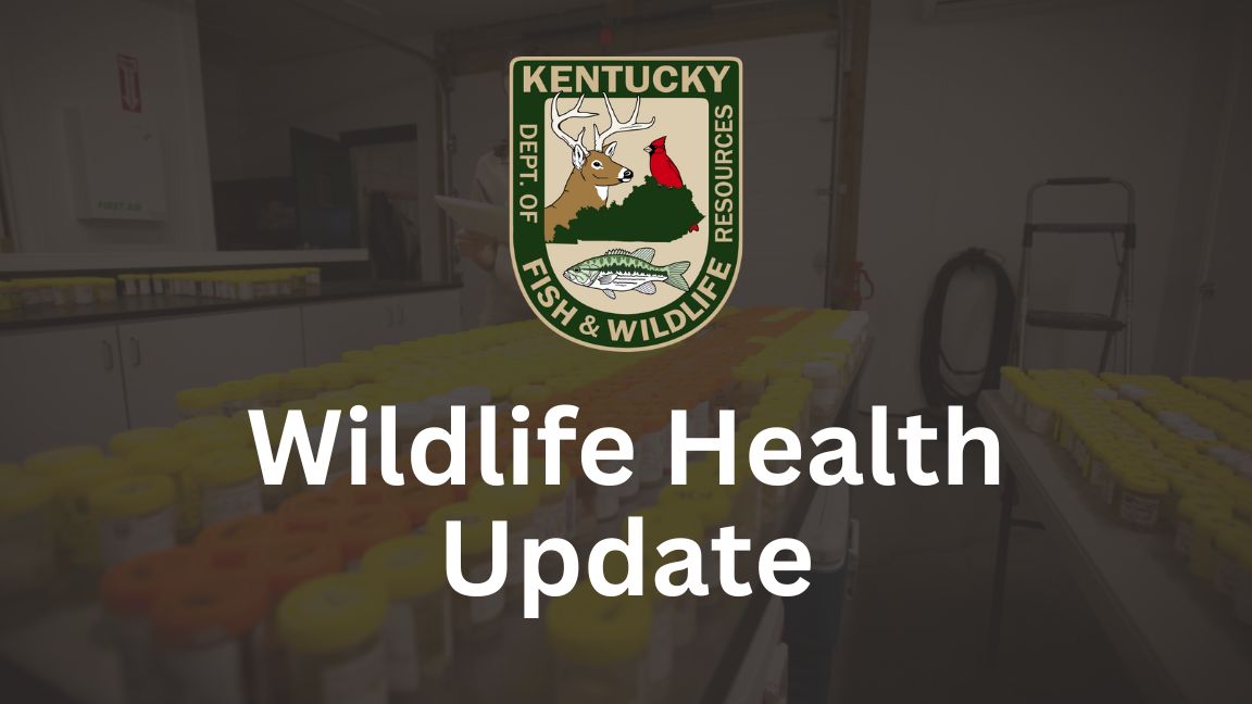 Wildlife-Health-PR-update