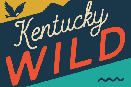 Lone Star Tick, James Gathany, CDC