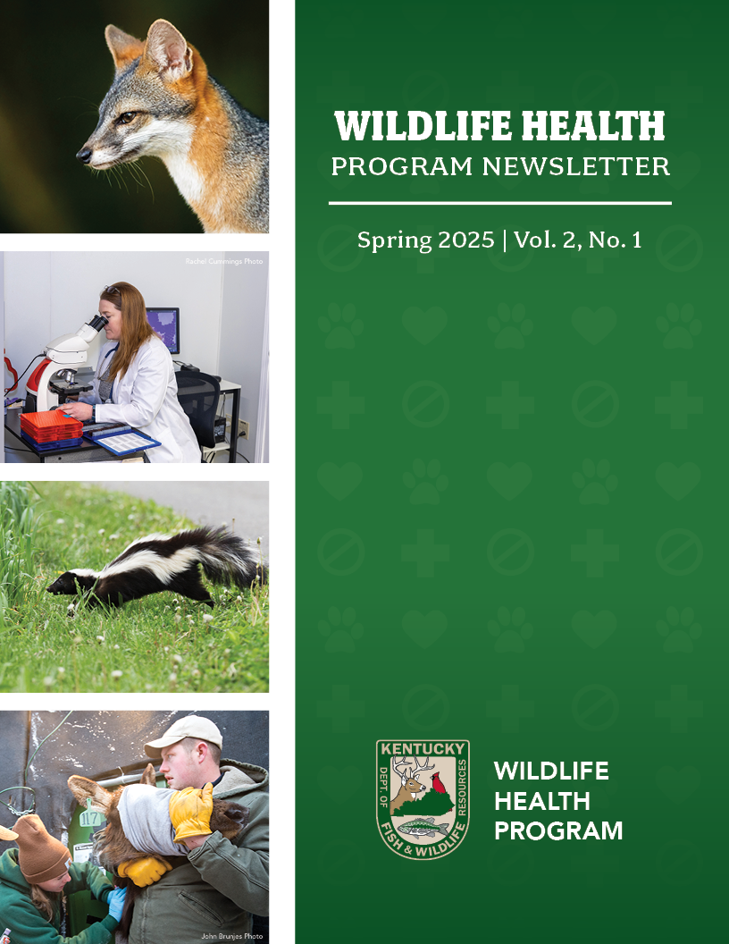 2025_Spring_WHPNewsletter.png