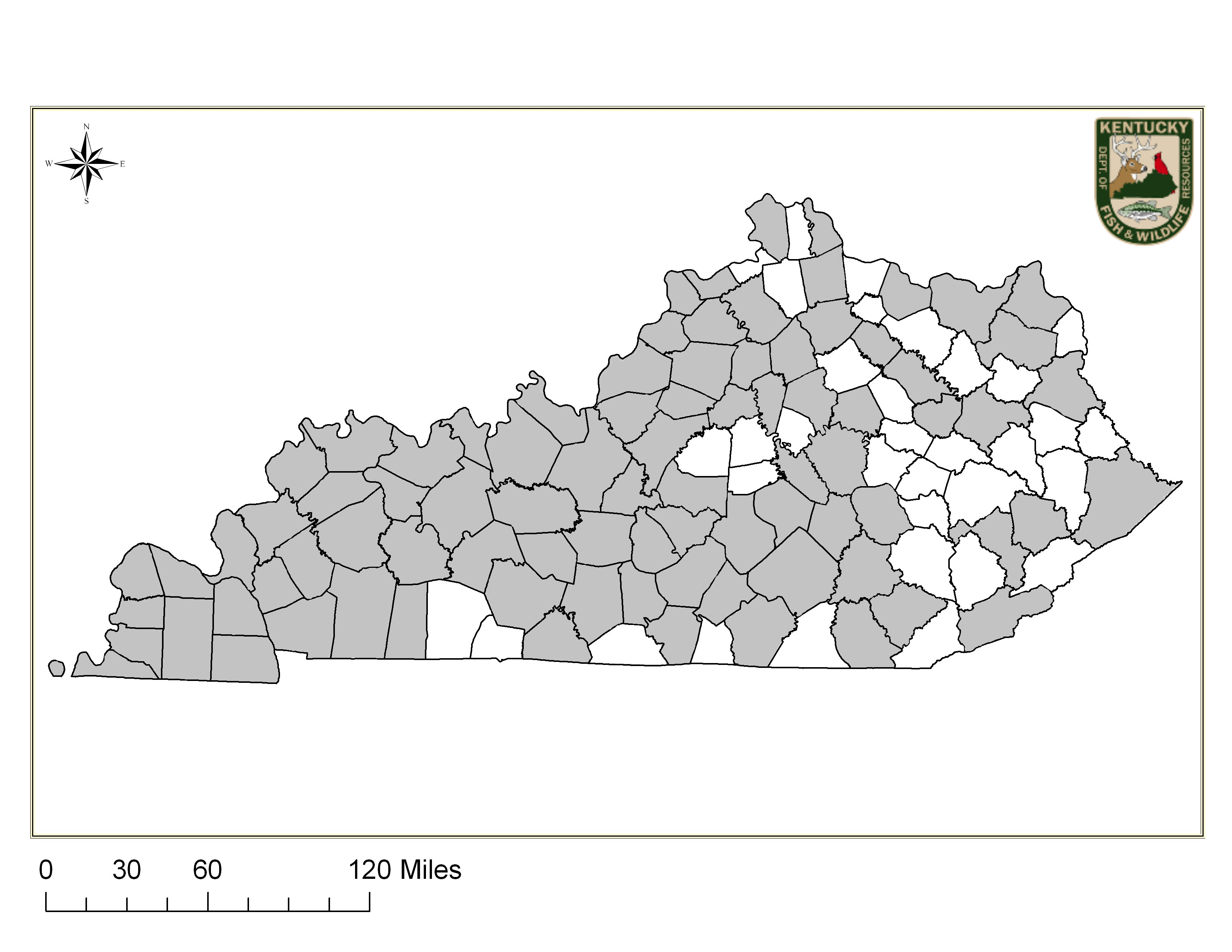 Eagle County Map