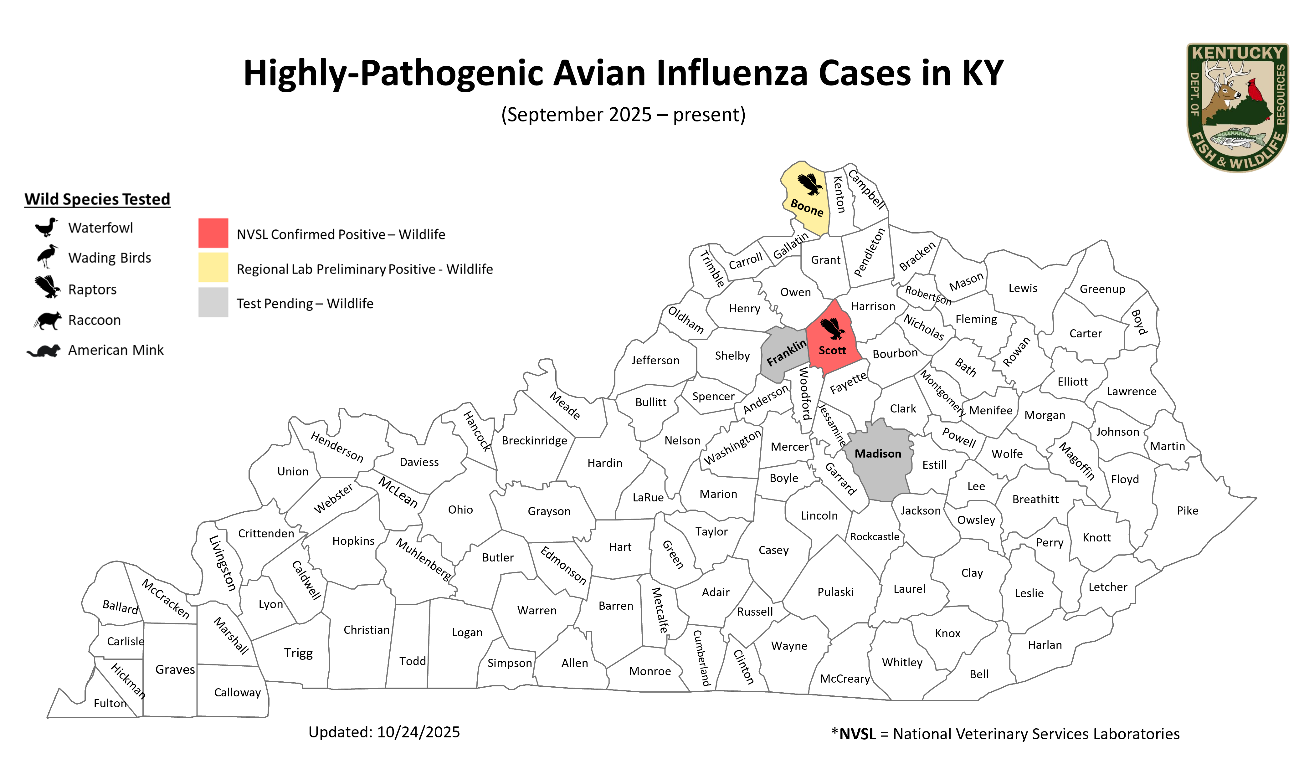 Avian Flu Cases - Oct 2024 - April 2025