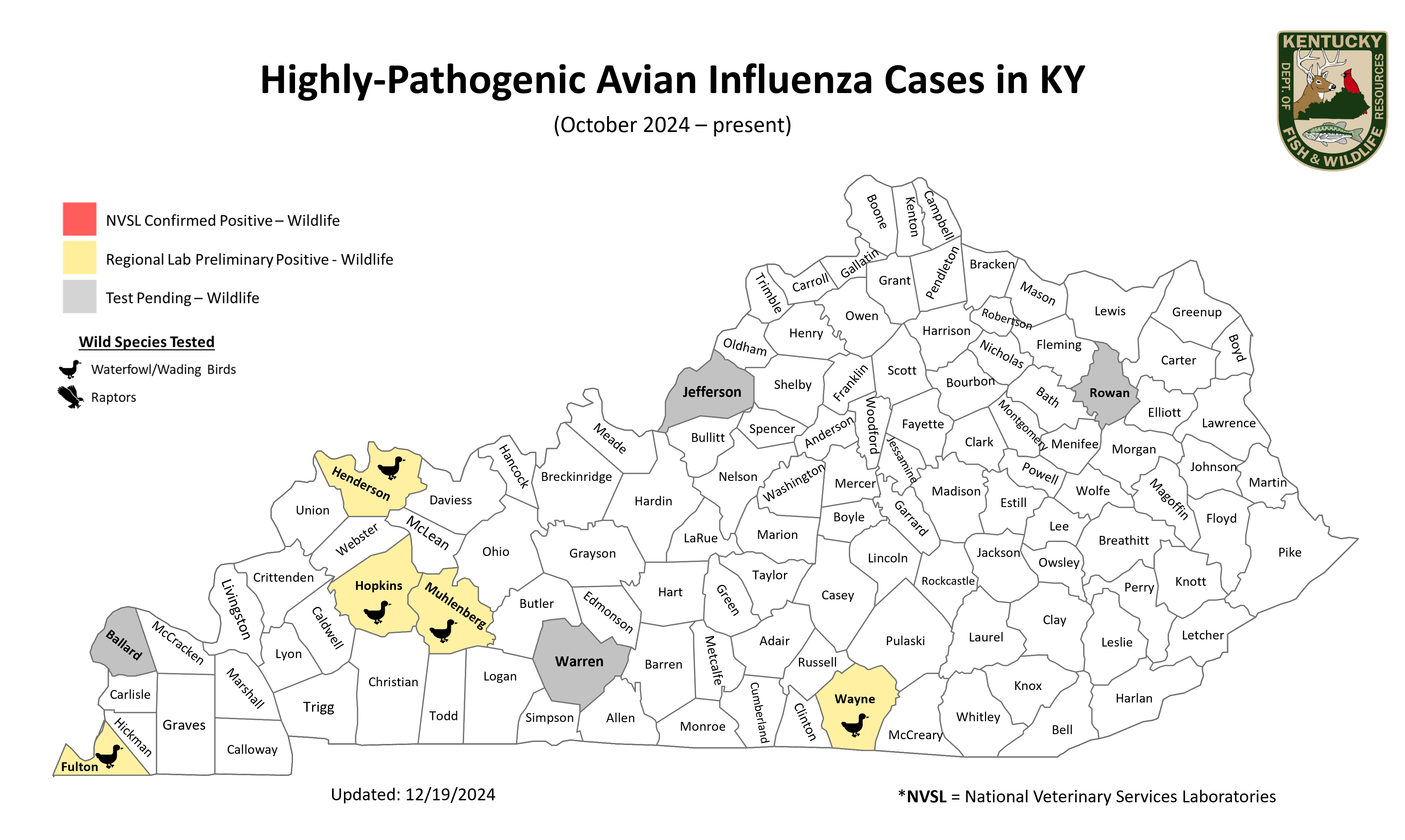 Avian Flu Cases - Oct 2024 - Present