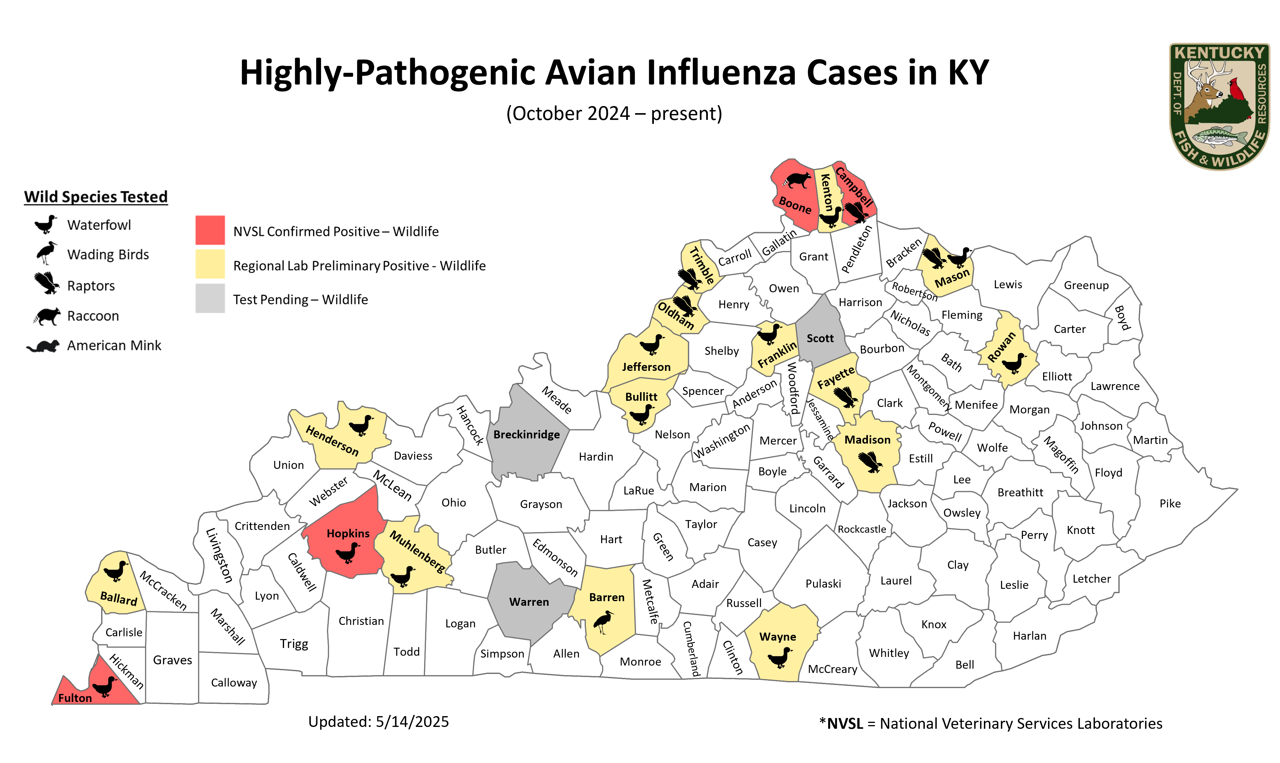 Avian Flu Cases - Oct 2024 - Present