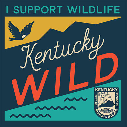 Kentucky Wild Logo