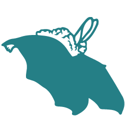 bat-icon-02.png